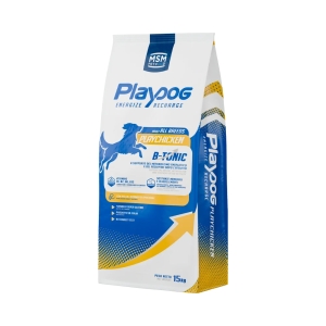 PlayDog Play CHICKEN